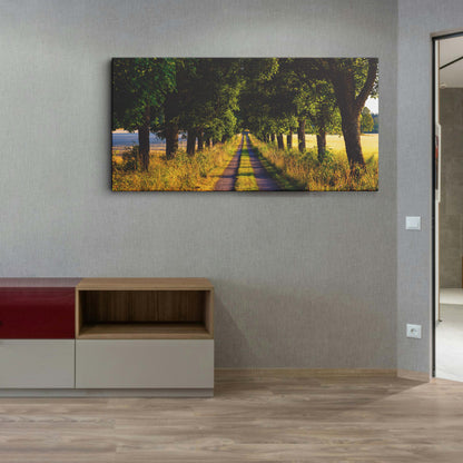 Summer Country Road canvas wall painting