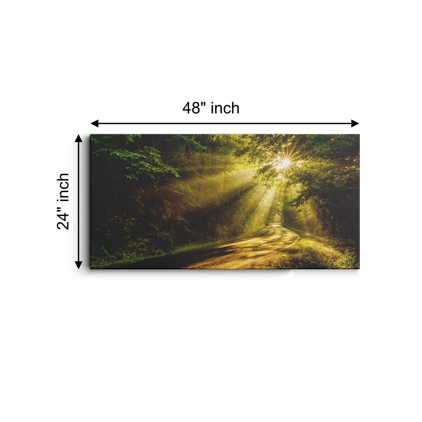 Summer Country Road canvas wall painting