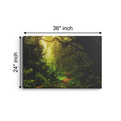 Nature's Path in Sunshine Forest canvas wall painting