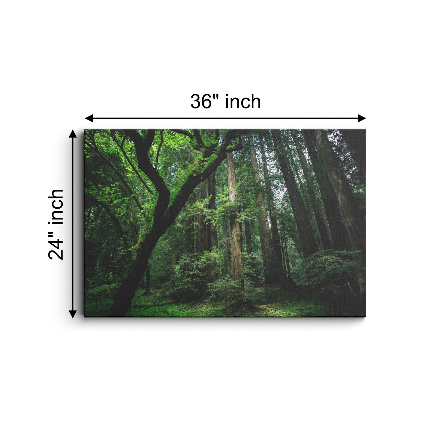 Nature Forest  canvas wall painting