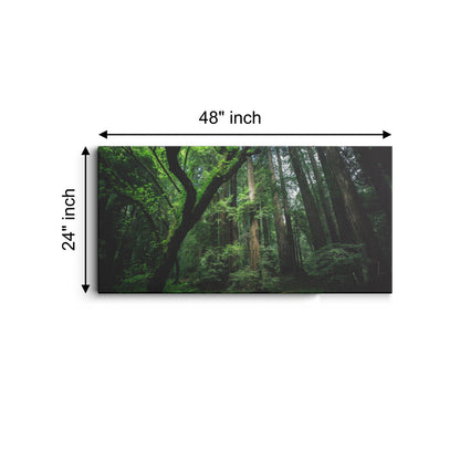 Nature Forest  canvas wall painting