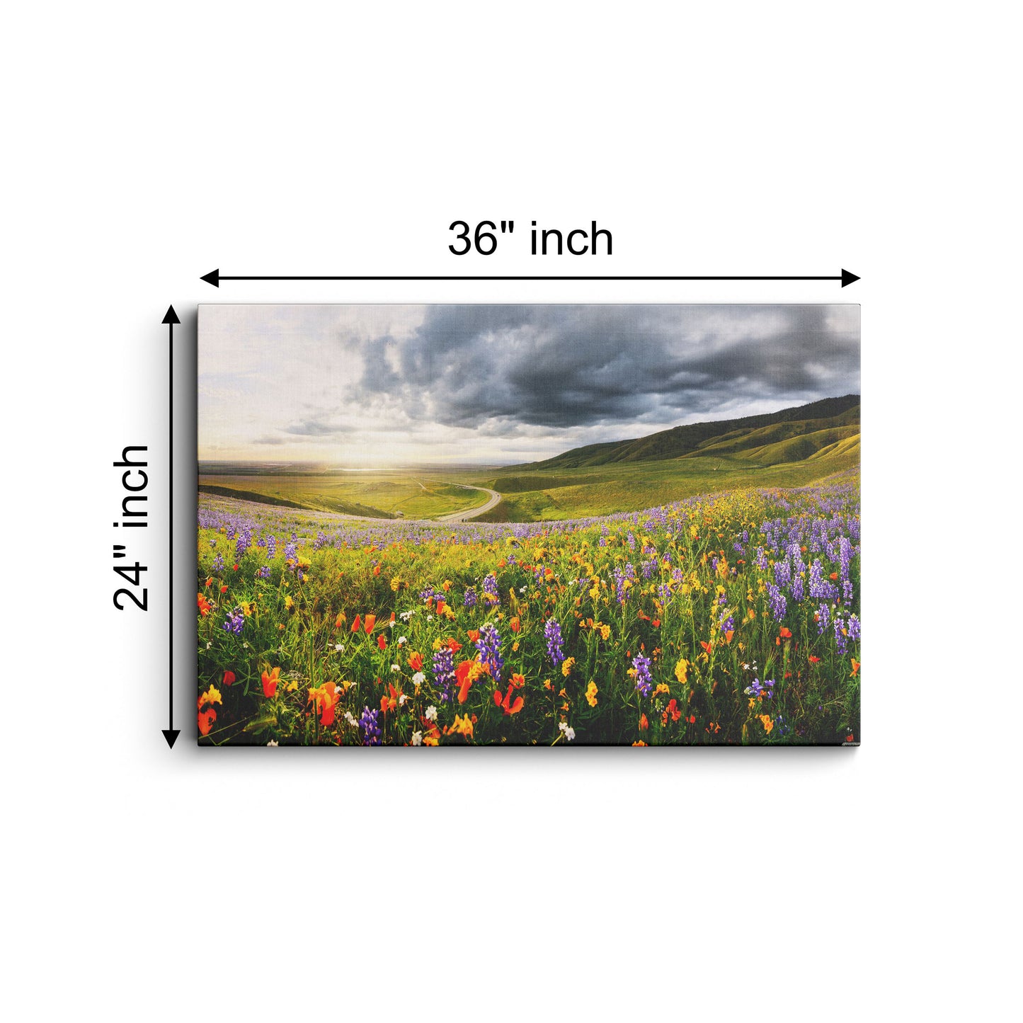 Flower Field Nature canvas wall painting