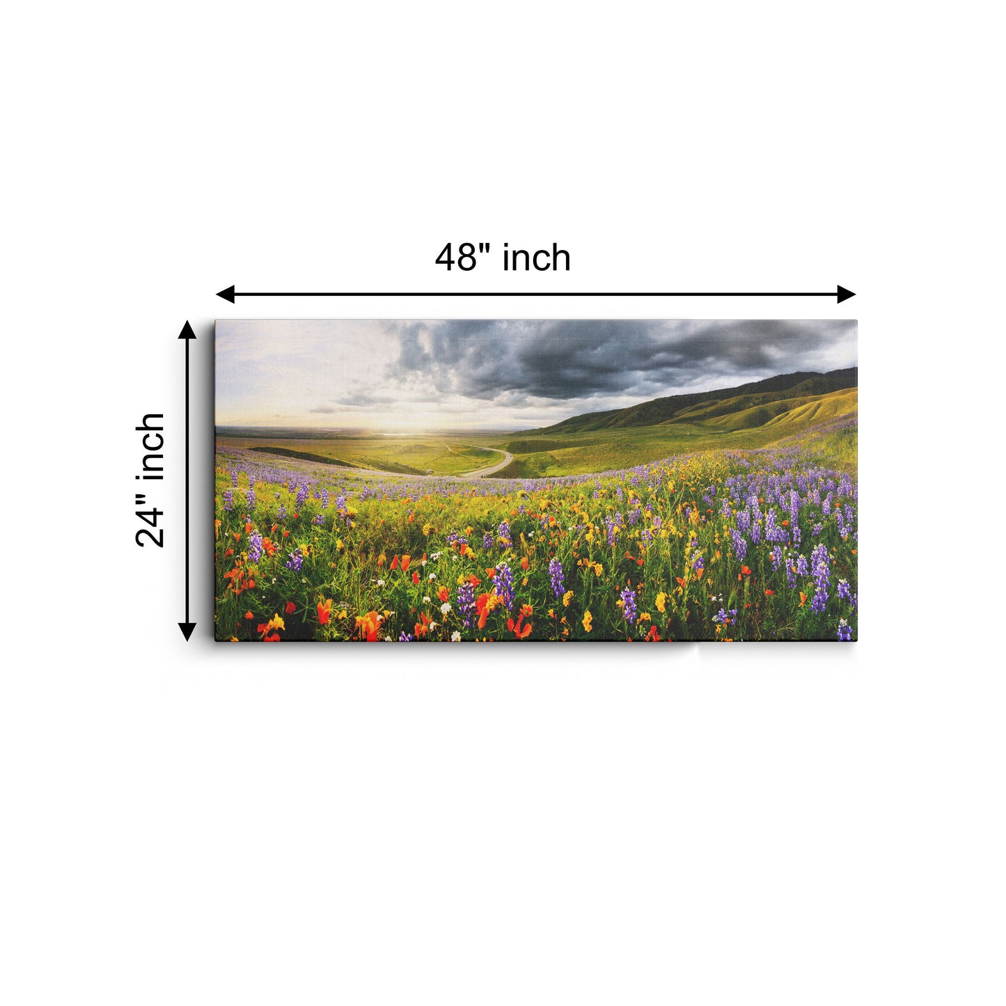 Flower Field Nature canvas wall painting