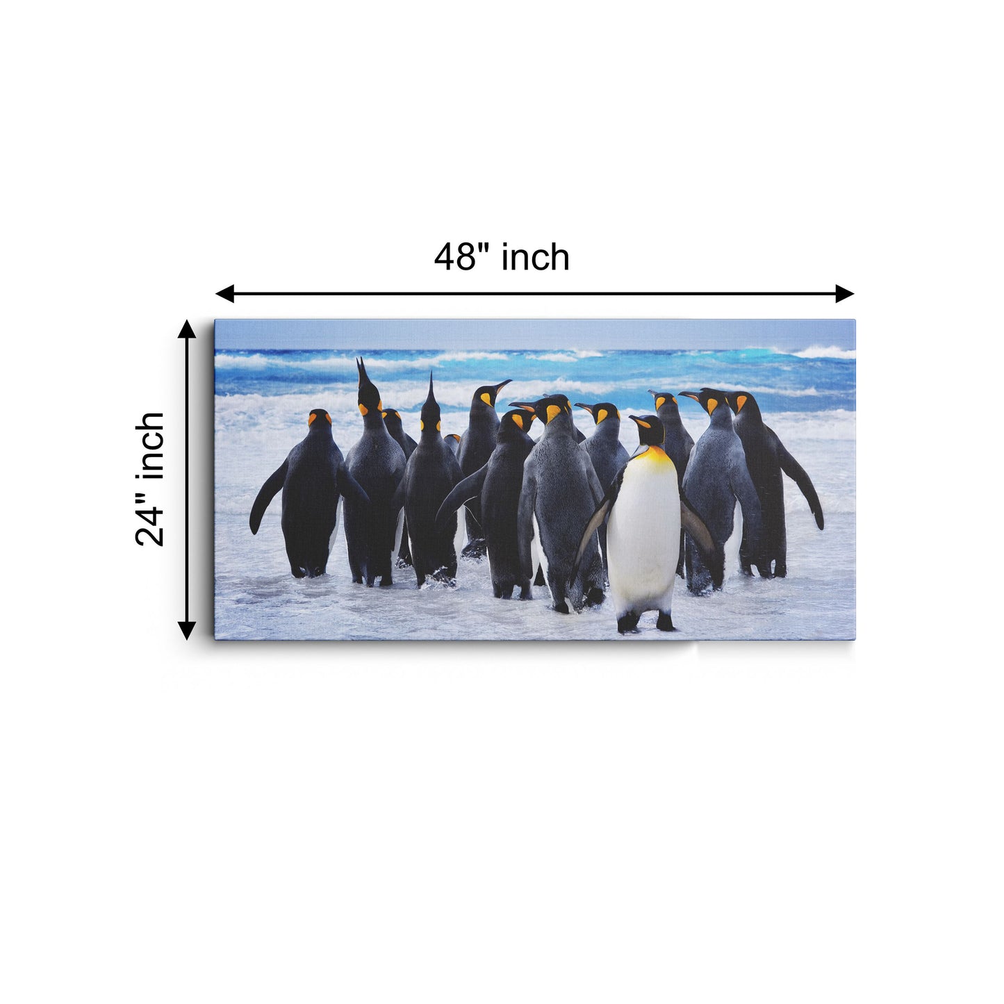 Sea Ocean King Penguin Bird Animal Penguin canvas wall painting