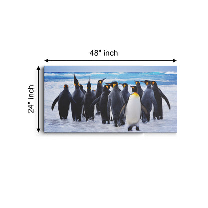 Sea Ocean King Penguin Bird Animal Penguin canvas wall painting