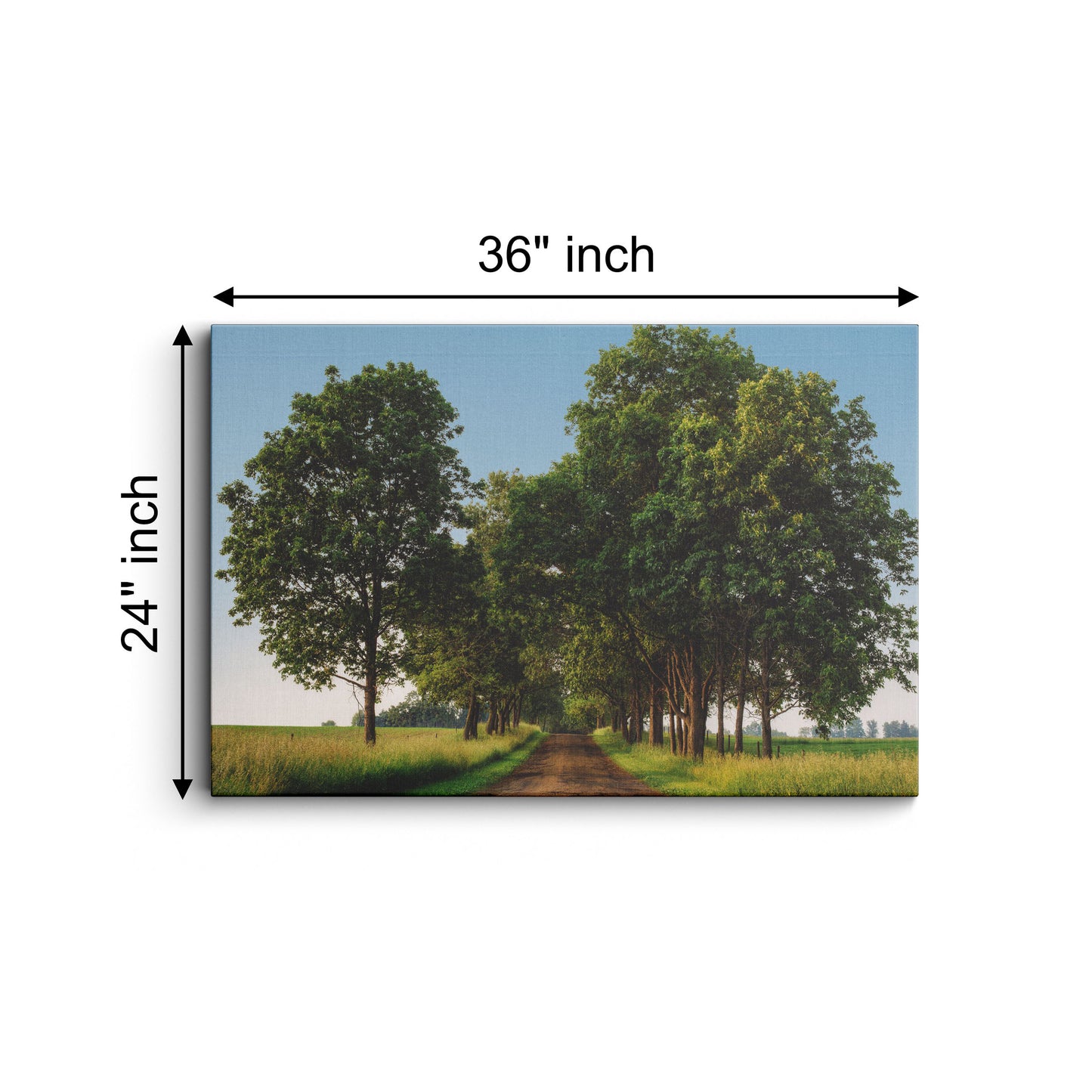 DigitalMantra Rural Road Green Trees Wall canvas wall painting