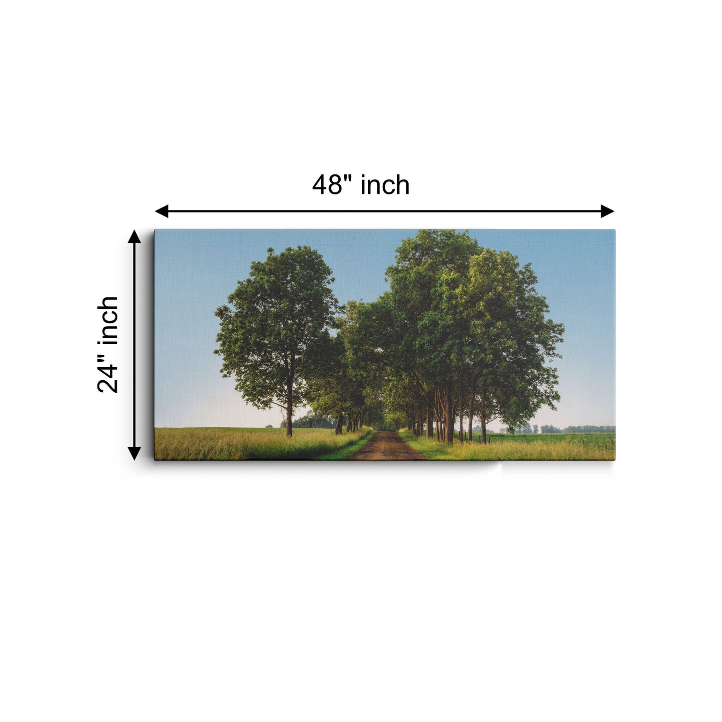 DigitalMantra Rural Road Green Trees Wall canvas wall painting